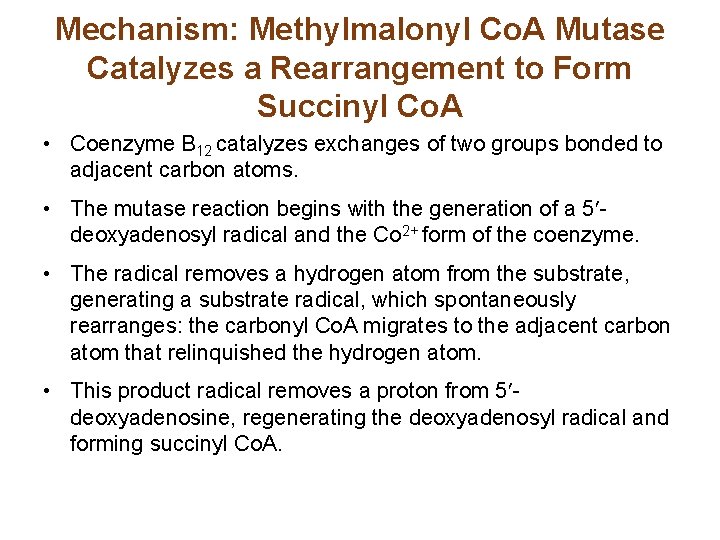 Mechanism: Methylmalonyl Co. A Mutase Catalyzes a Rearrangement to Form Succinyl Co. A •