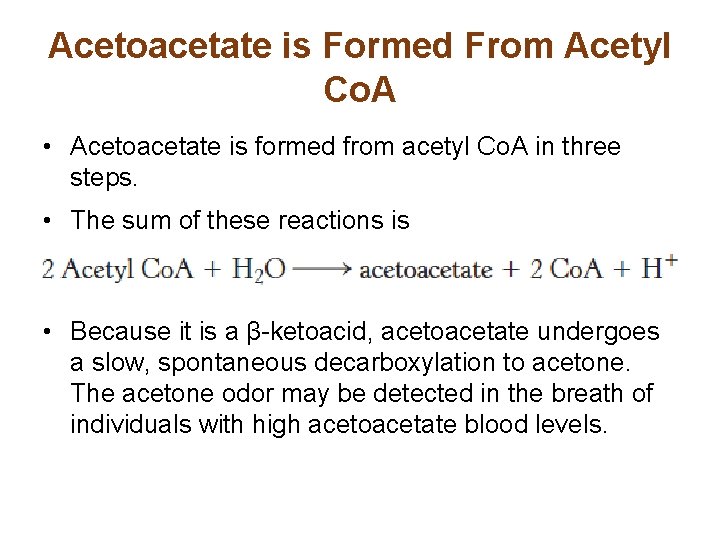 Acetoacetate is Formed From Acetyl Co. A • Acetoacetate is formed from acetyl Co.