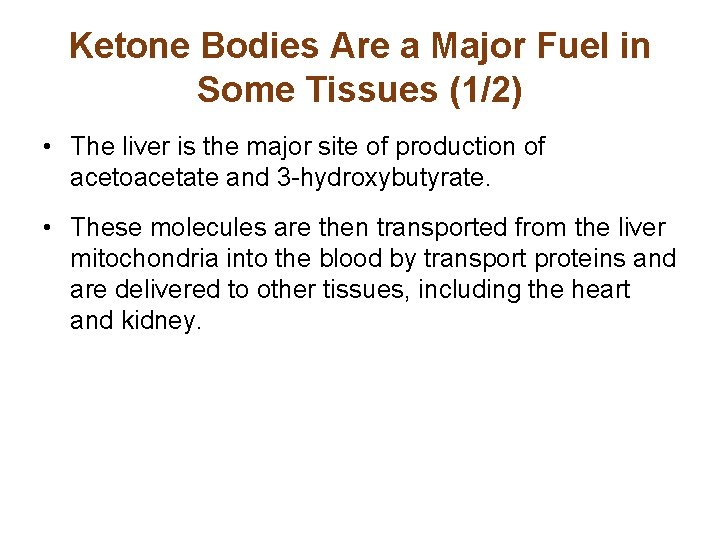 Ketone Bodies Are a Major Fuel in Some Tissues (1/2) • The liver is