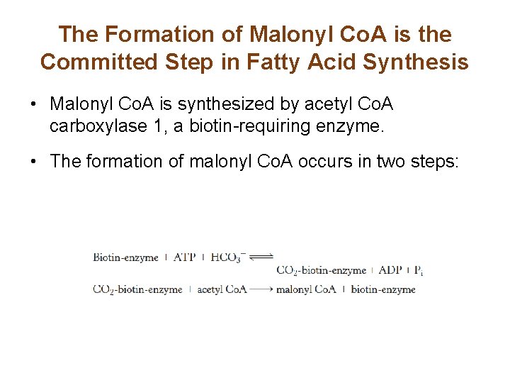 The Formation of Malonyl Co. A is the Committed Step in Fatty Acid Synthesis
