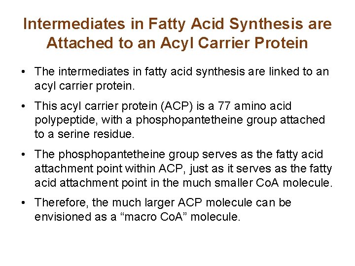 Intermediates in Fatty Acid Synthesis are Attached to an Acyl Carrier Protein • The