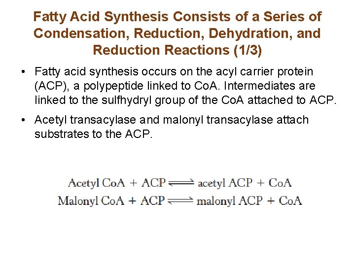 Fatty Acid Synthesis Consists of a Series of Condensation, Reduction, Dehydration, and Reduction Reactions