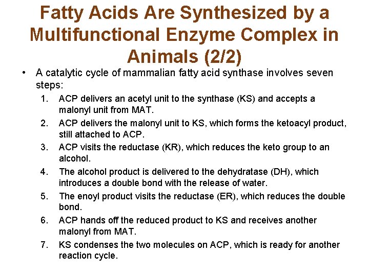 Fatty Acids Are Synthesized by a Multifunctional Enzyme Complex in Animals (2/2) • A