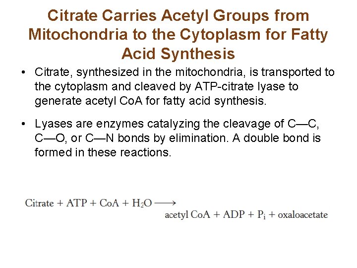 Citrate Carries Acetyl Groups from Mitochondria to the Cytoplasm for Fatty Acid Synthesis •