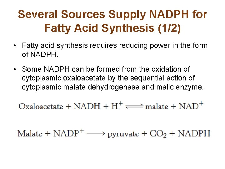 Several Sources Supply NADPH for Fatty Acid Synthesis (1/2) • Fatty acid synthesis requires