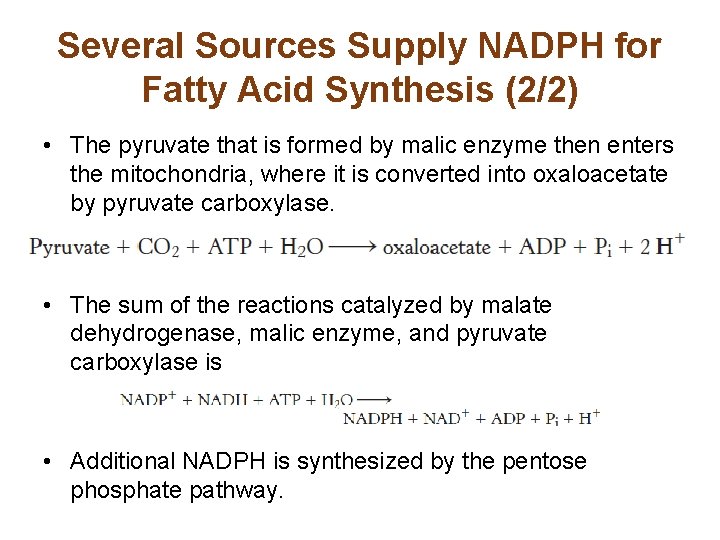 Several Sources Supply NADPH for Fatty Acid Synthesis (2/2) • The pyruvate that is