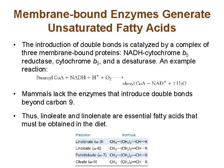 Membrane-bound Enzymes Generate Unsaturated Fatty Acids • The introduction of double bonds is catalyzed
