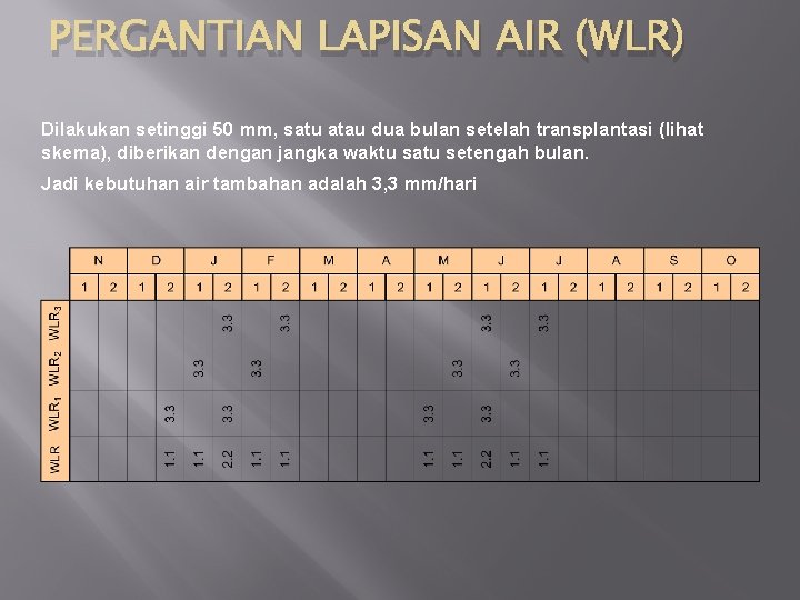 PERGANTIAN LAPISAN AIR (WLR) Dilakukan setinggi 50 mm, satu atau dua bulan setelah transplantasi