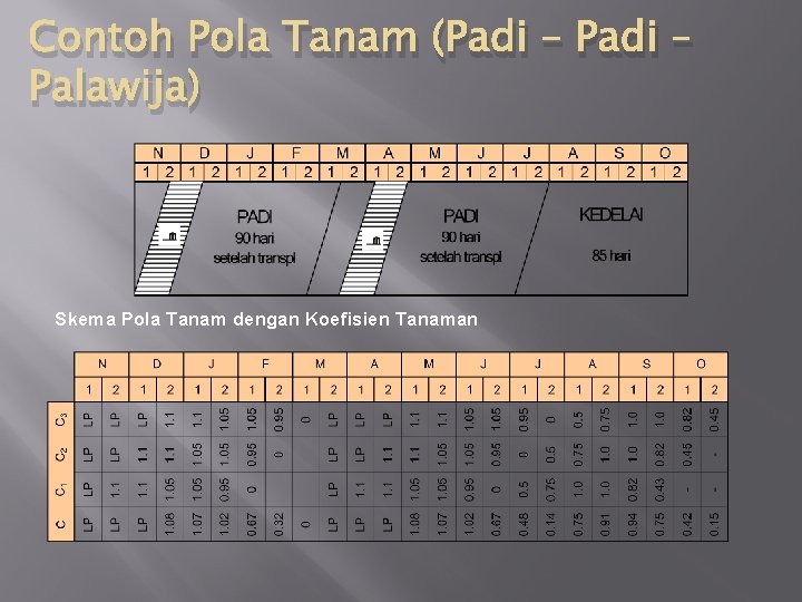 Contoh Pola Tanam (Padi – Palawija) Skema Pola Tanam dengan Koefisien Tanaman 