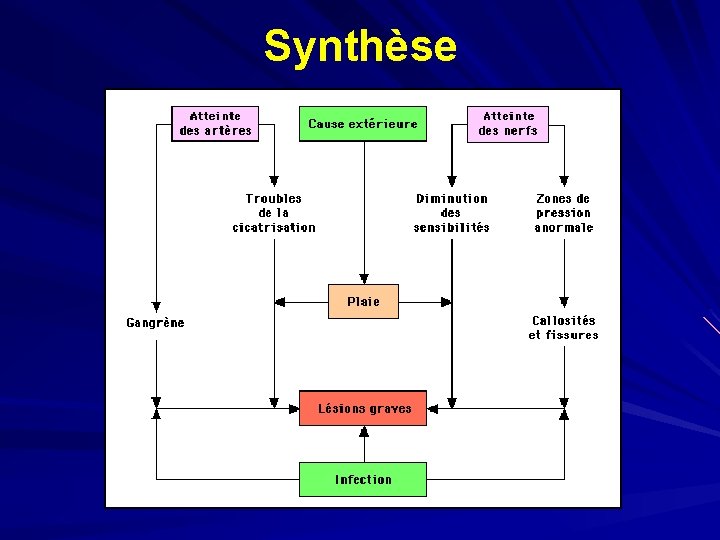 Synthèse 