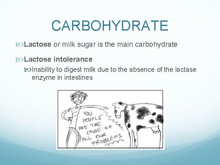 CARBOHYDRATE Lactose or milk sugar is the main carbohydrate Lactose intolerance Inability to digest
