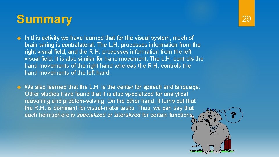 Summary In this activity we have learned that for the visual system, much of