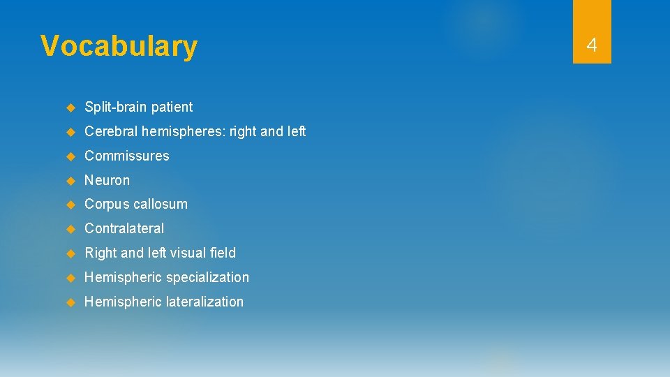 Vocabulary Split-brain patient Cerebral hemispheres: right and left Commissures Neuron Corpus callosum Contralateral Right