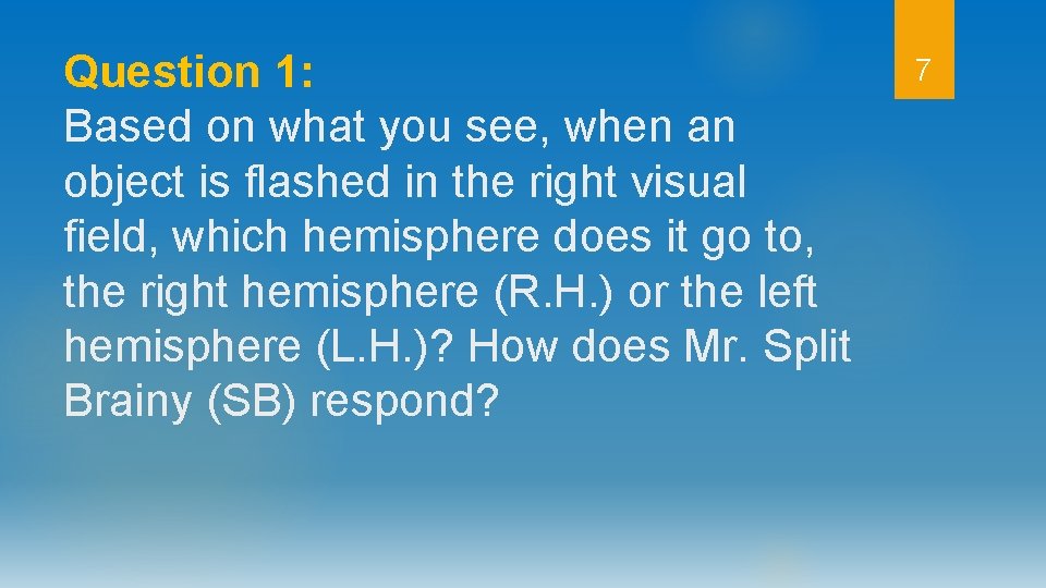 Question 1: Based on what you see, when an object is flashed in the