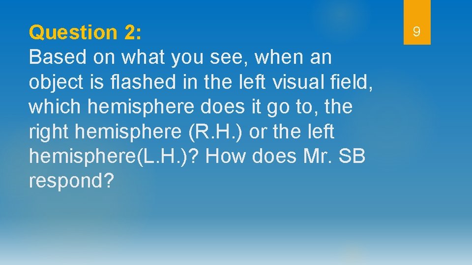 Question 2: Based on what you see, when an object is flashed in the