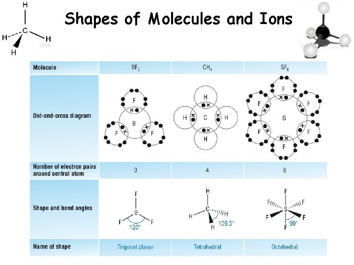 Shapes of Molecules and Ions 