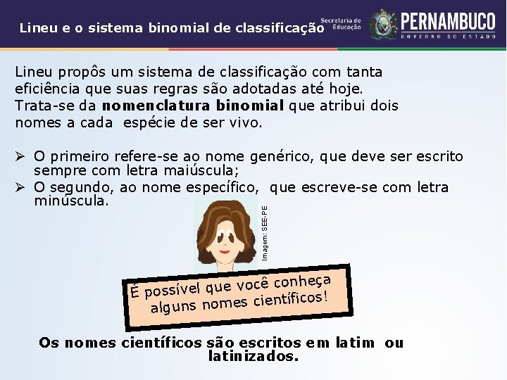 Lineu e o sistema binomial de classificação Lineu propôs um sistema de classificação com