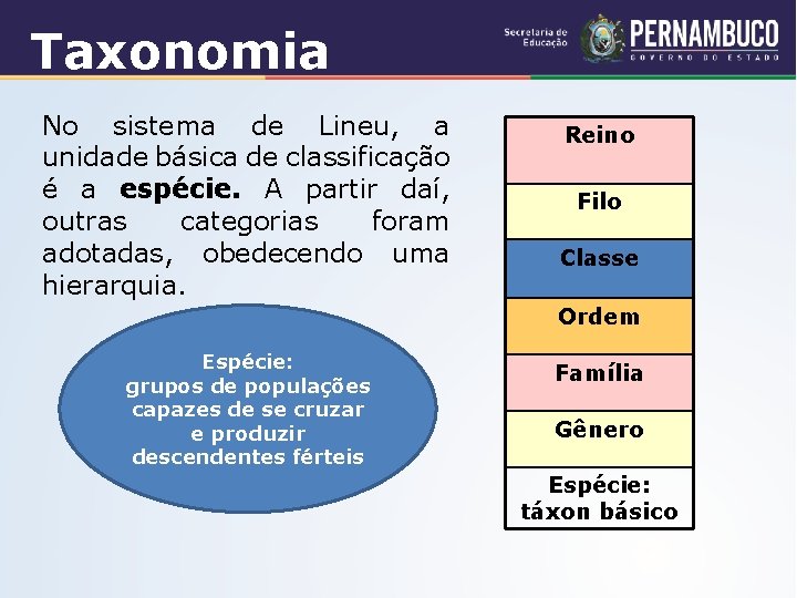 Taxonomia No sistema de Lineu, a unidade básica de classificação é a espécie. A