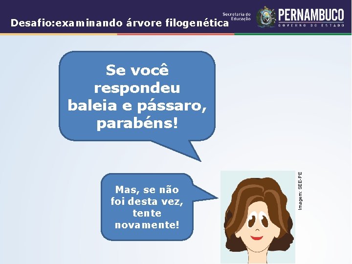 Desafio: examinando árvore filogenética Mas, se não foi desta vez, tente novamente! Imagem: SEE-PE