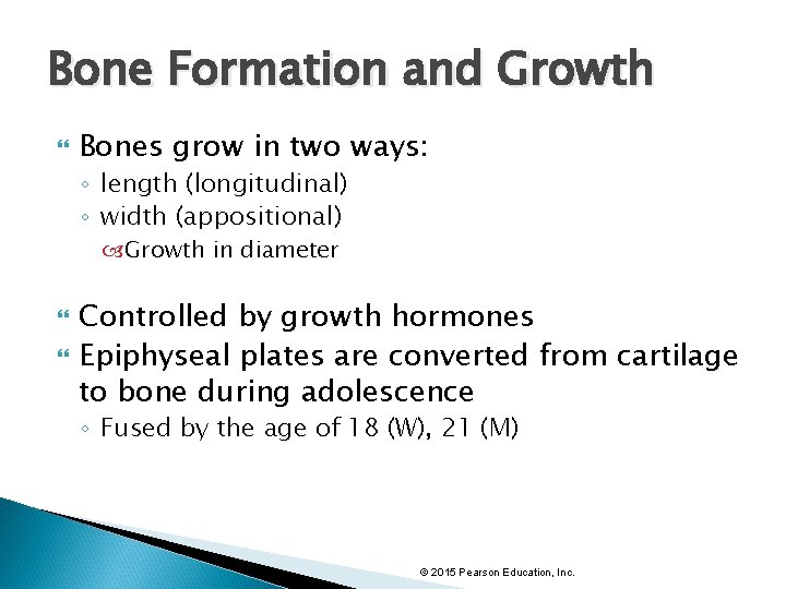 Bone Formation and Growth Bones grow in two ways: ◦ length (longitudinal) ◦ width