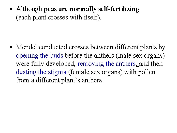 § Although peas are normally self-fertilizing (each plant crosses with itself). § Mendel conducted