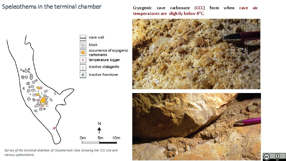 Speleothems in the terminal chamber Survey of the terminal chamber of Cioccherloch Cave showing