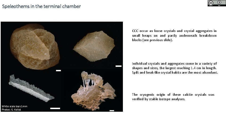 Speleothems in the terminal chamber CCC occur as loose crystals and crystal aggregates in
