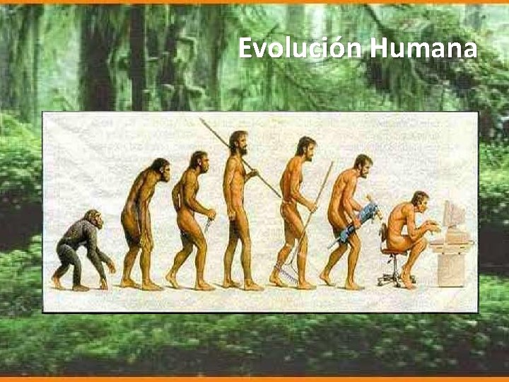 Evolución Humana 