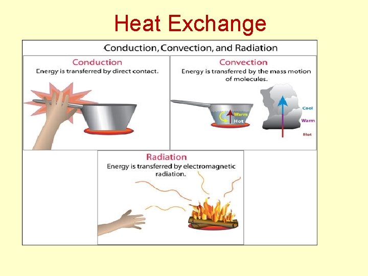 Heat Exchange 