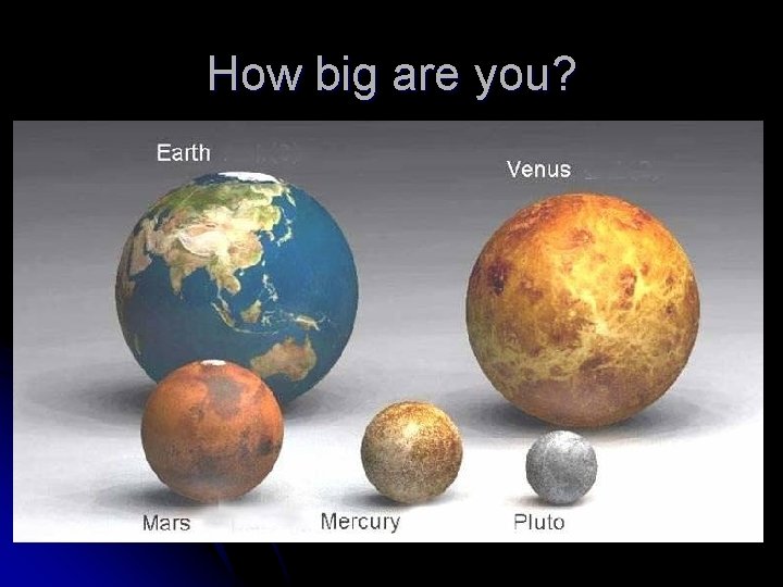 How big are you? 