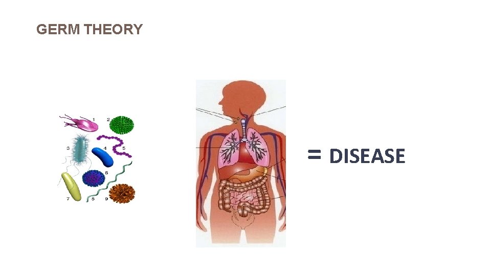 GERM THEORY + = DISEASE 