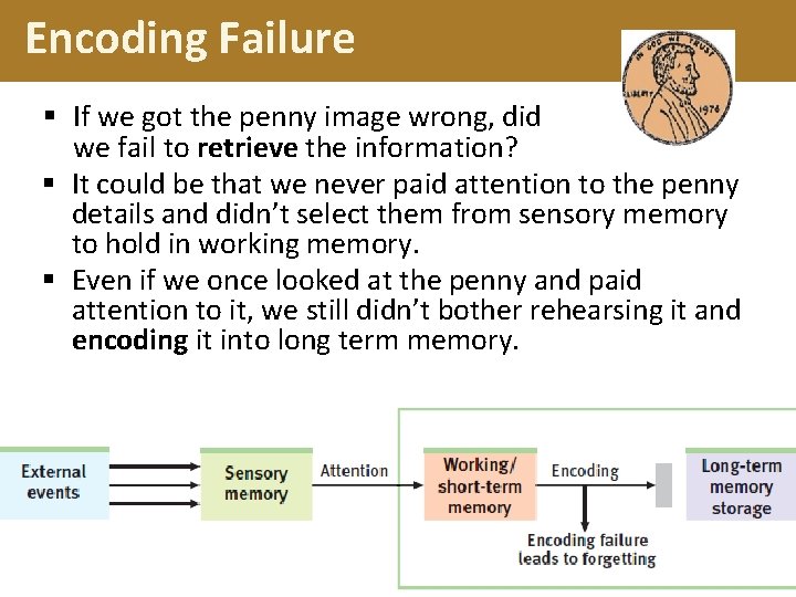 Encoding Failure § If we got the penny image wrong, did we fail to