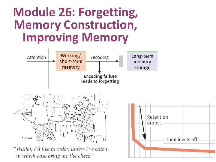 Module 26: Forgetting, Memory Construction, Improving Memory 