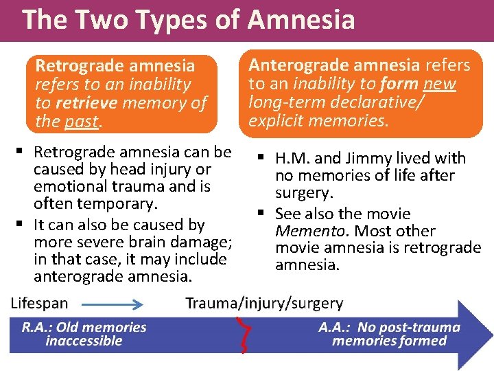The Two Types of Amnesia Retrograde amnesia refers to an inability to retrieve memory