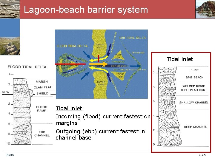 Lagoon-beach barrier system Tidal inlet Incoming (flood) current fastest on margins Outgoing (ebb) current