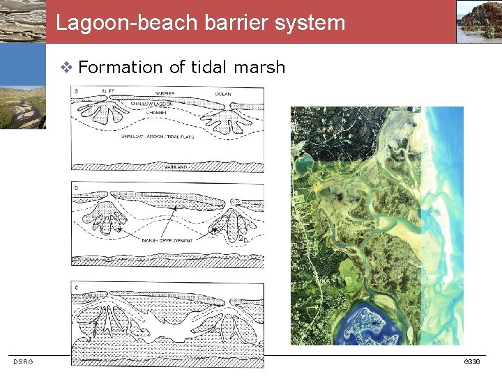 Lagoon-beach barrier system v Formation of tidal marsh DSRG G 336 