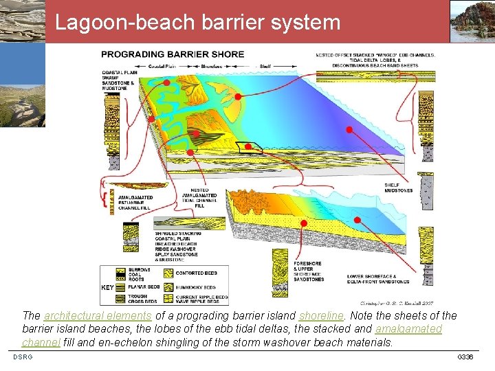 Lagoon-beach barrier system The architectural elements of a prograding barrier island shoreline. Note the