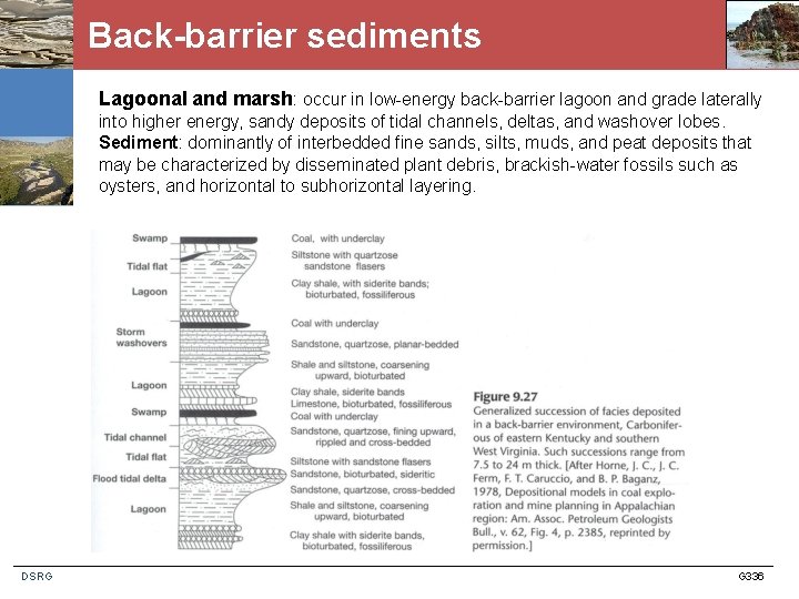 Back-barrier sediments Lagoonal and marsh: occur in low-energy back-barrier lagoon and grade laterally into