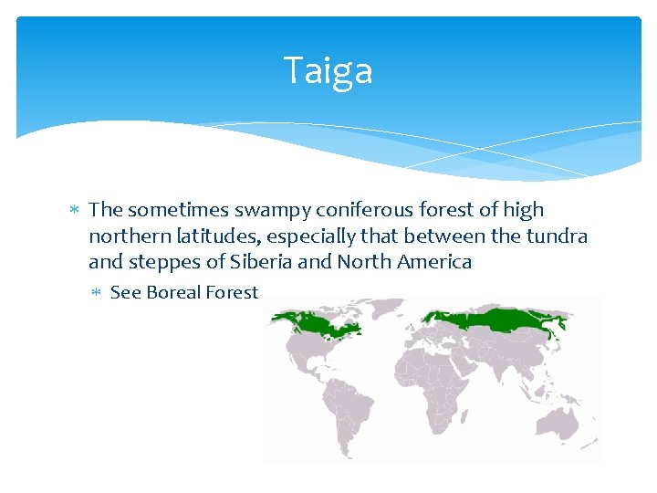 Taiga The sometimes swampy coniferous forest of high northern latitudes, especially that between the