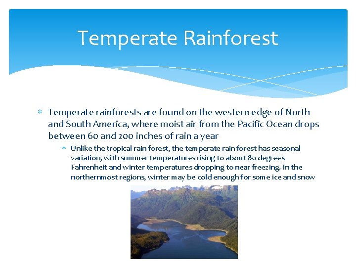 Temperate Rainforest Temperate rainforests are found on the western edge of North and South