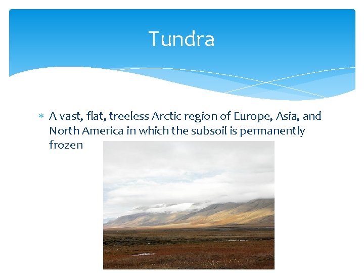 Tundra A vast, flat, treeless Arctic region of Europe, Asia, and North America in