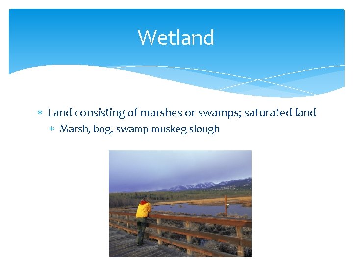 Wetland Land consisting of marshes or swamps; saturated land Marsh, bog, swamp muskeg slough