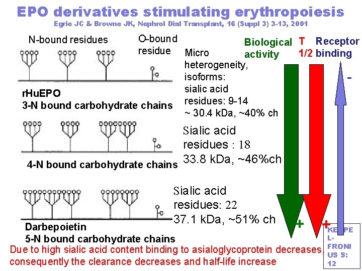 EPO derivatives stimulating erythropoiesis Egrie JC & Browne JK, Nephrol Dial Transplant, 16 (Suppl