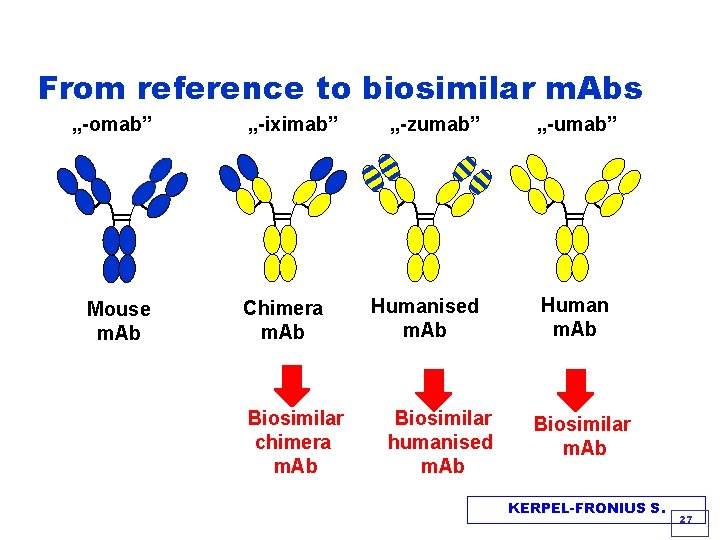 From reference to biosimilar m. Abs „-omab” Mouse m. Ab „-iximab” Chimera m. Ab