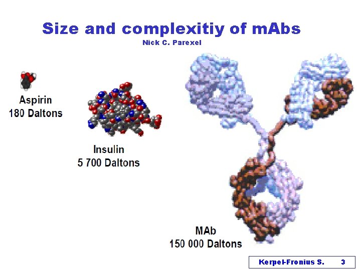 Size and complexitiy of m. Abs Nick C. Parexel Kerpel-Fronius S. 3 