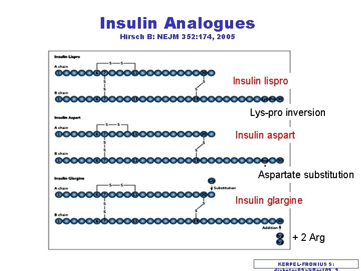 Insulin Analogues Hirsch B: NEJM 352: 174, 2005 Insulin lispro Lys-pro inversion Insulin aspart