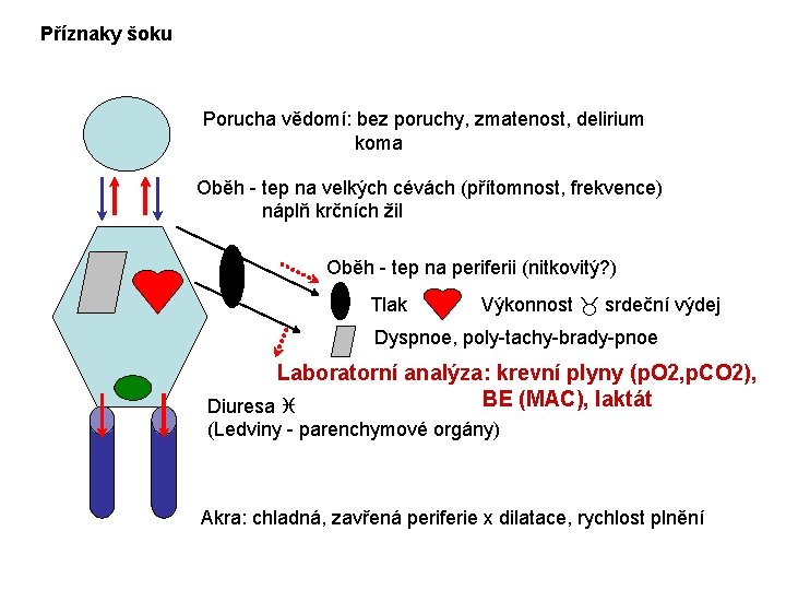 Příznaky šoku Porucha vědomí: bez poruchy, zmatenost, delirium koma Oběh - tep na velkých