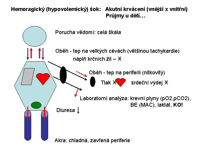 Hemoragický (hypovolemický) šok: Akutní krvácení (vnější x vnitřní) Průjmy u dětí… Porucha vědomí: celá