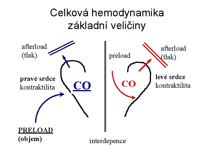 Celková hemodynamika základní veličiny afterload (tlak) pravé srdce kontraktilita PRELOAD (objem) preload CO CO