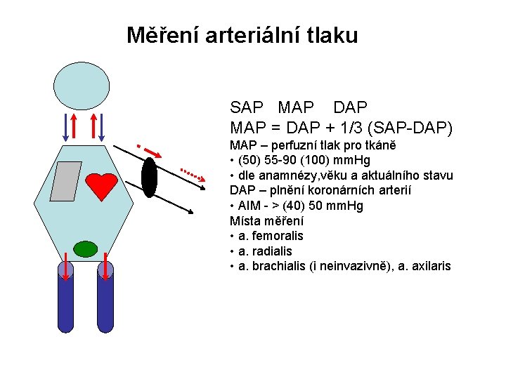 Měření arteriální tlaku SAP MAP DAP MAP = DAP + 1/3 (SAP-DAP) MAP –